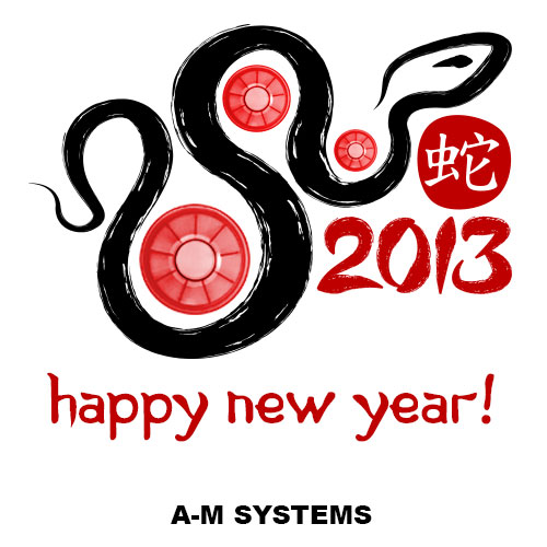 vbmax-chinese-new-year