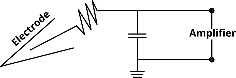 electrode-amplifier