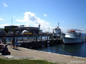 马萨诸塞州伍兹霍尔海洋生物实验室(MBL)。
