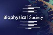 生物物理学会第57届年会上的A-M系统