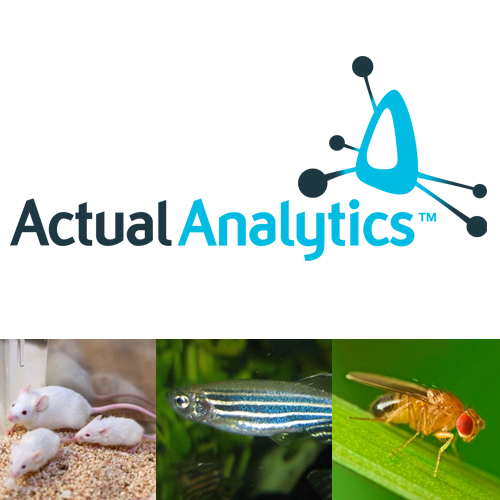 ActualTrack Recognizes and Analyzes Common Animal Behavioral Tasks