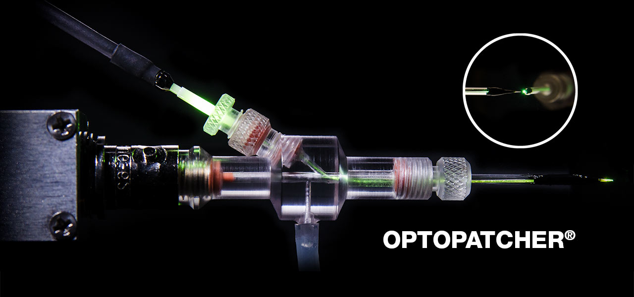 用于将光学刺激应用于活体膜片钳协议的光修补器